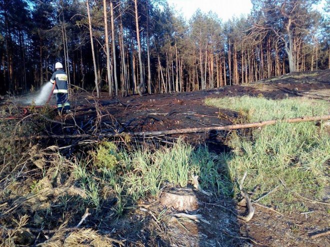 W Wachu spłonęło wczoraj 2,5 hektara lasu [ZDJĘCIA] - zdjęcie #6 - eOstroleka.pl