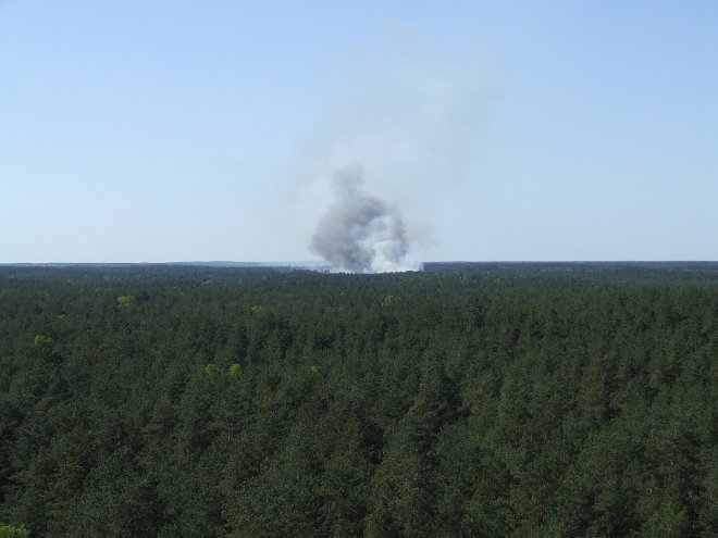 Fotorelacja internauty z pożaru lasu w miejscowości Wach  [19.05.2017] - zdjęcie #8 - eOstroleka.pl