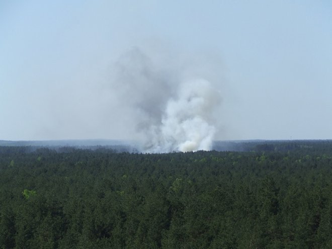 Fotorelacja internauty z pożaru lasu w miejscowości Wach  [19.05.2017] - zdjęcie #9 - eOstroleka.pl