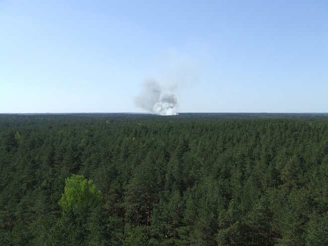 Fotorelacja internauty z pożaru lasu w miejscowości Wach  [19.05.2017] - zdjęcie #11 - eOstroleka.pl
