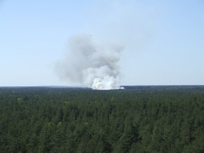 Fotorelacja internauty z pożaru lasu w miejscowości Wach  [19.05.2017] - zdjęcie #12 - eOstroleka.pl