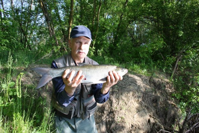Zawody Wędkarskie Okoń Narwi [21.05.2017] - zdjęcie #21 - eOstroleka.pl