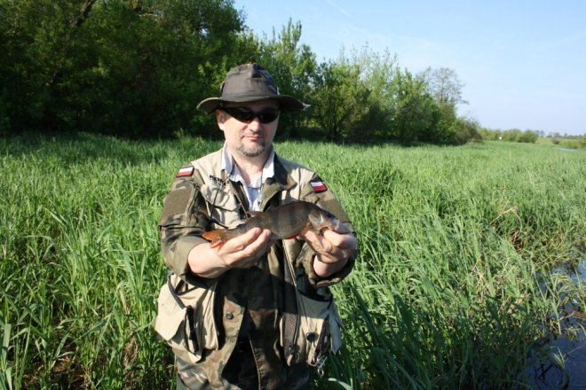 Zawody Wędkarskie Okoń Narwi [21.05.2017] - zdjęcie #19 - eOstroleka.pl