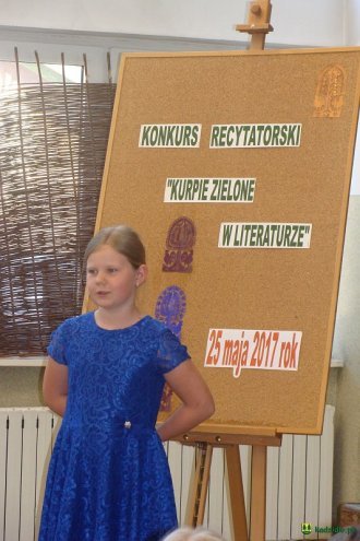Konkurs recytatorski „Kurpie Zielone w Literaturze” oficjalnie rozstrzygnięty [ZDJĘCIA] - zdjęcie #9 - eOstroleka.pl