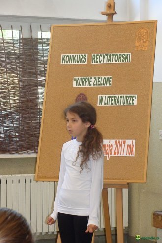 Konkurs recytatorski „Kurpie Zielone w Literaturze” oficjalnie rozstrzygnięty [ZDJĘCIA] - zdjęcie #34 - eOstroleka.pl