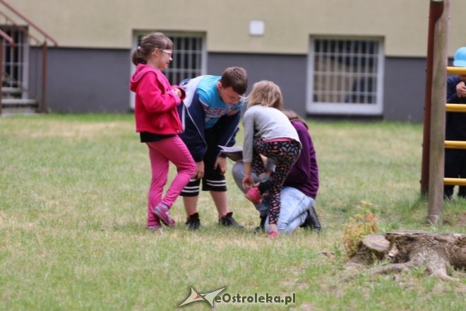 Festyn z okazji Międzynarodowego Dnia Dziecka [31.05.2017] - zdjęcie #28 - eOstroleka.pl
