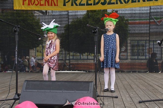 Przegląd Piosenki Przedszkolnej 2017 [WIDEO, ZDJĘCIA] - zdjęcie #7 - eOstroleka.pl