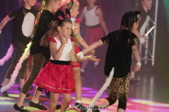 20 lat Zespołu Tańca Współczesnego DE-EM (09.06.2017) - zdjęcie #74 - eOstroleka.pl