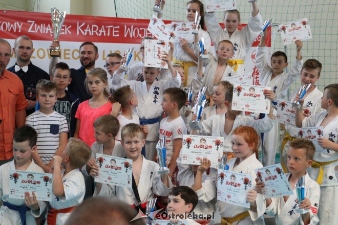 Wojewódzka liga karate w Ostrołęce [10.06.2017] - zdjęcie #88 - eOstroleka.pl
