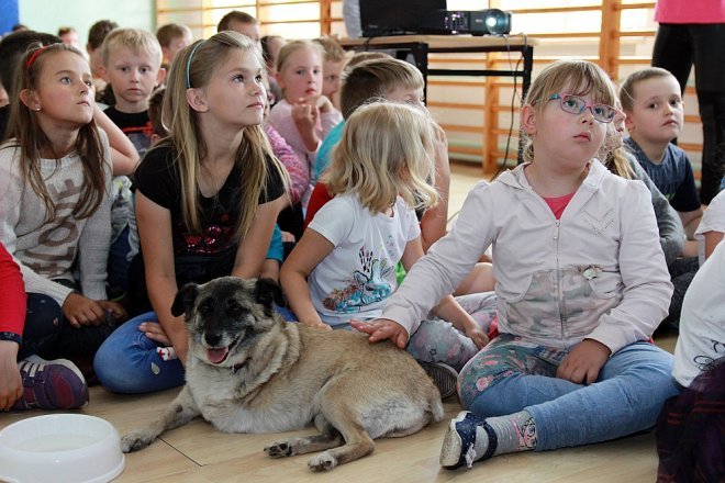 Wolontariusze ze schroniska Canis w Kruszewie z wizytą w Szkole Podstawowej nr 5 [ZDJĘCIA] - zdjęcie #6 - eOstroleka.pl