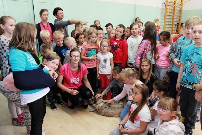 Wolontariusze ze schroniska Canis w Kruszewie z wizytą w Szkole Podstawowej nr 5 [ZDJĘCIA] - zdjęcie #7 - eOstroleka.pl