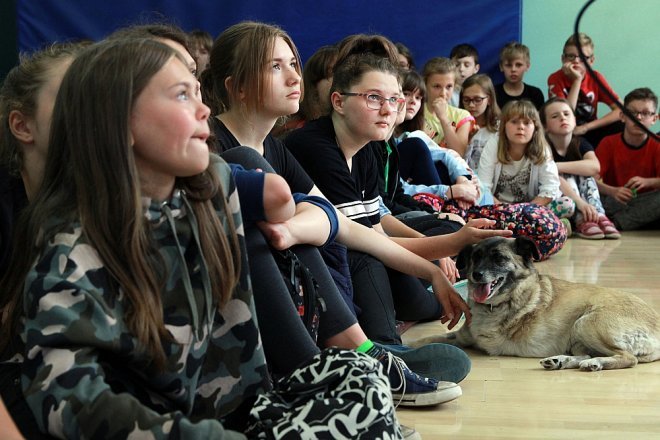 Wolontariusze ze schroniska Canis w Kruszewie z wizytą w Szkole Podstawowej nr 5 [ZDJĘCIA] - zdjęcie #8 - eOstroleka.pl