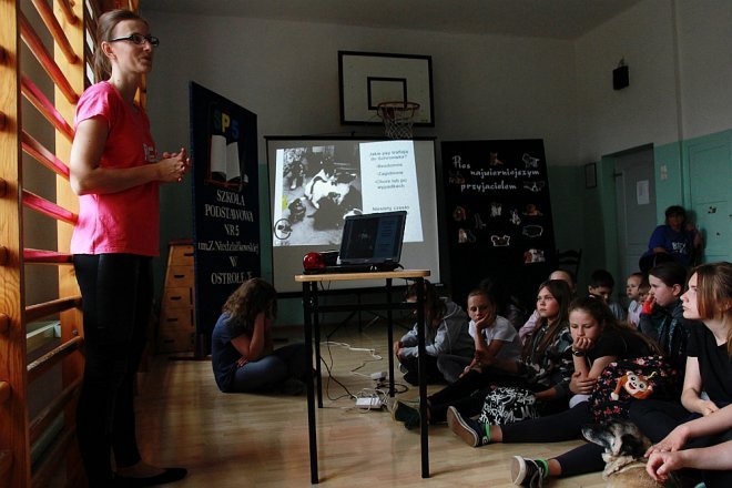Wolontariusze ze schroniska Canis w Kruszewie z wizytą w Szkole Podstawowej nr 5 [ZDJĘCIA] - zdjęcie #10 - eOstroleka.pl