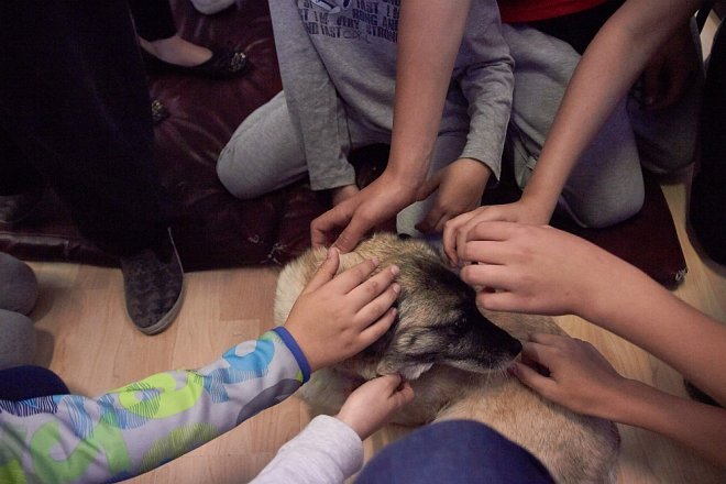 Wolontariusze ze schroniska Canis w Kruszewie z wizytą w Szkole Podstawowej nr 5 [ZDJĘCIA] - zdjęcie #14 - eOstroleka.pl