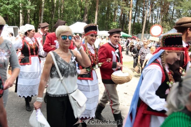 Wesele Kurpiowskie 2017: Ceremonia zaślubin [18.06.2017] - zdjęcie #10 - eOstroleka.pl