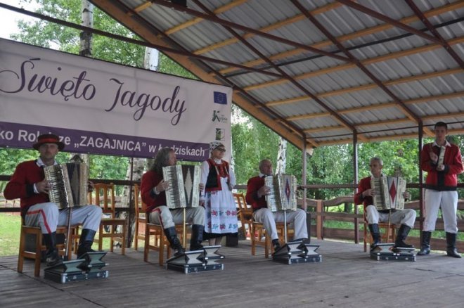 Święto Jagody w Łodziskach [ZDJĘCIA] - zdjęcie #11 - eOstroleka.pl