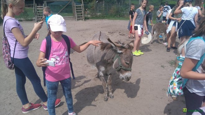Tak wakacje spędzały dzieci i młodzież z Kadzidła [ZDJĘCIA] - zdjęcie #204 - eOstroleka.pl