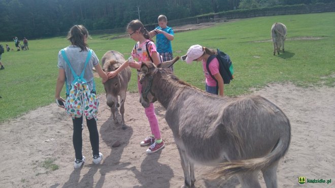 Tak wakacje spędzały dzieci i młodzież z Kadzidła [ZDJĘCIA] - zdjęcie #50 - eOstroleka.pl