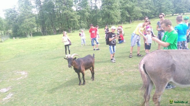 Tak wakacje spędzały dzieci i młodzież z Kadzidła [ZDJĘCIA] - zdjęcie #190 - eOstroleka.pl