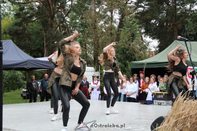 Piknik Kulturalny Spotkajmy się w Parku [02.09.2017] - zdjęcie #48 - eOstroleka.pl