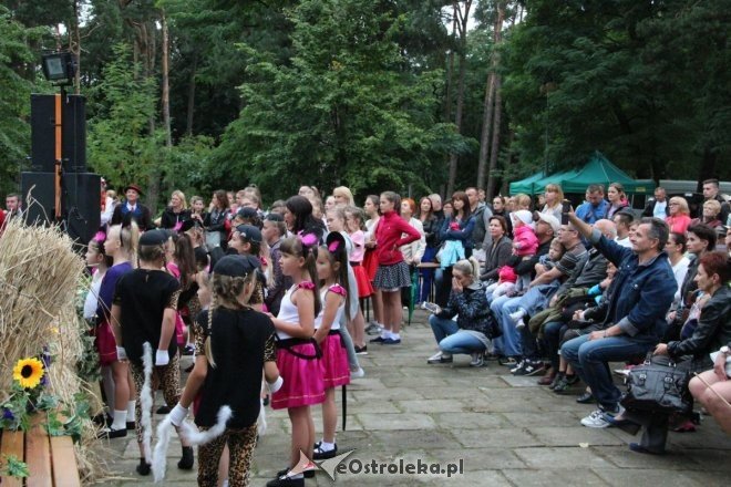 Piknik Kulturalny Spotkajmy się w Parku [02.09.2017] - zdjęcie #43 - eOstroleka.pl