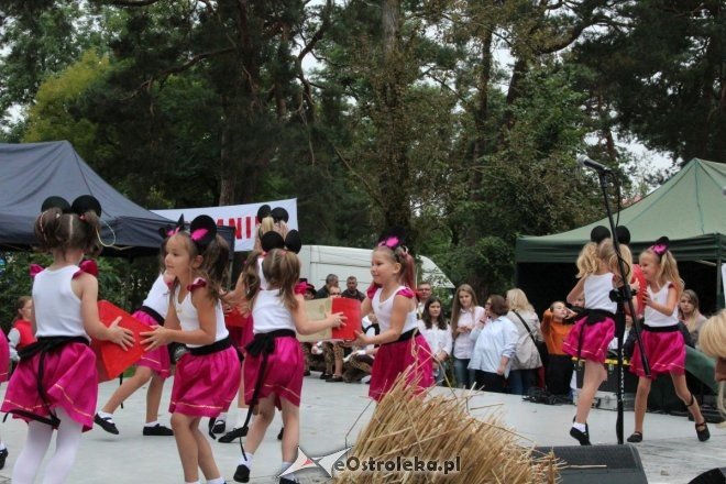 Piknik Kulturalny Spotkajmy się w Parku [02.09.2017] - zdjęcie #39 - eOstroleka.pl