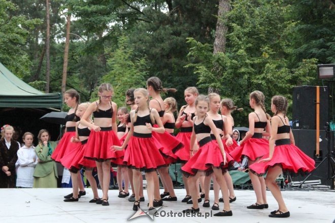 Piknik Kulturalny Spotkajmy się w Parku [02.09.2017] - zdjęcie #33 - eOstroleka.pl