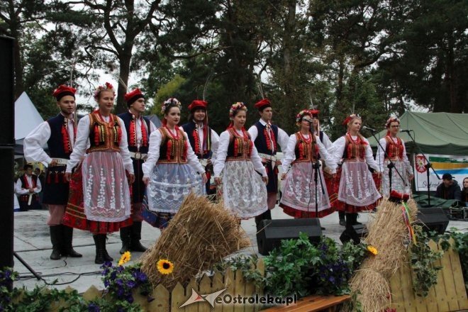 Piknik Kulturalny Spotkajmy się w Parku [02.09.2017] - zdjęcie #30 - eOstroleka.pl