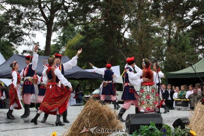 Piknik Kulturalny Spotkajmy się w Parku [02.09.2017] - zdjęcie #27 - eOstroleka.pl