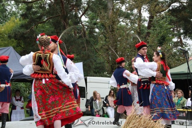 Piknik Kulturalny Spotkajmy się w Parku [02.09.2017] - zdjęcie #26 - eOstroleka.pl