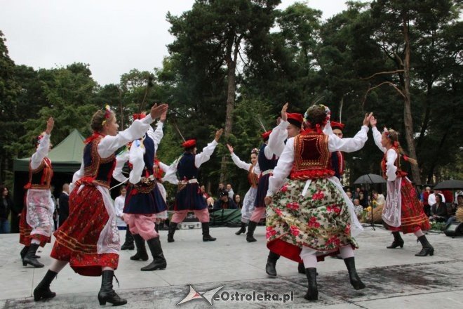 Piknik Kulturalny Spotkajmy się w Parku [02.09.2017] - zdjęcie #25 - eOstroleka.pl