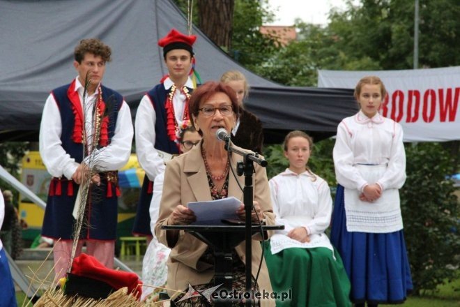 Piknik Kulturalny Spotkajmy się w Parku [02.09.2017] - zdjęcie #5 - eOstroleka.pl