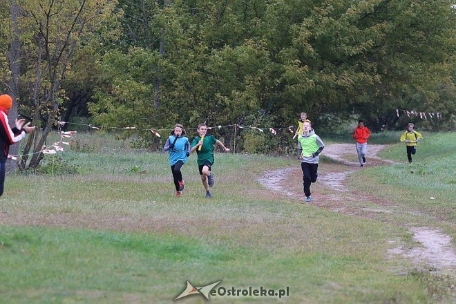 Sztafetowe biegi przełajowe [07.10.2017] - zdjęcie #1 - eOstroleka.pl