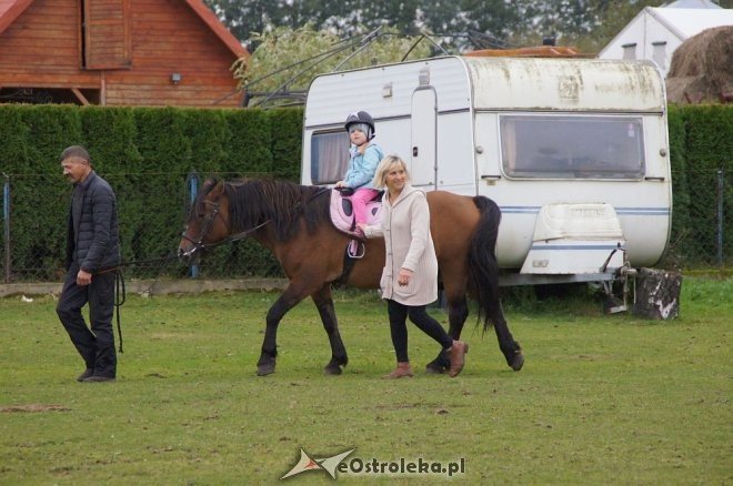 Przedszkolaki z Krainy Misiów w stadninie koni Mustang [ZDJĘCIA] - zdjęcie #58 - eOstroleka.pl