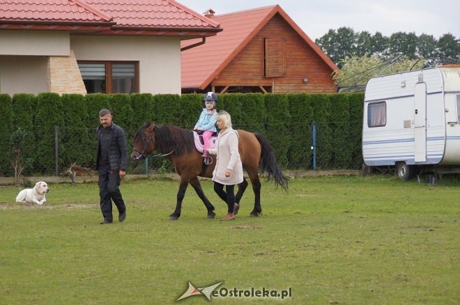 Przedszkolaki z Krainy Misiów w stadninie koni Mustang [ZDJĘCIA] - zdjęcie #60 - eOstroleka.pl