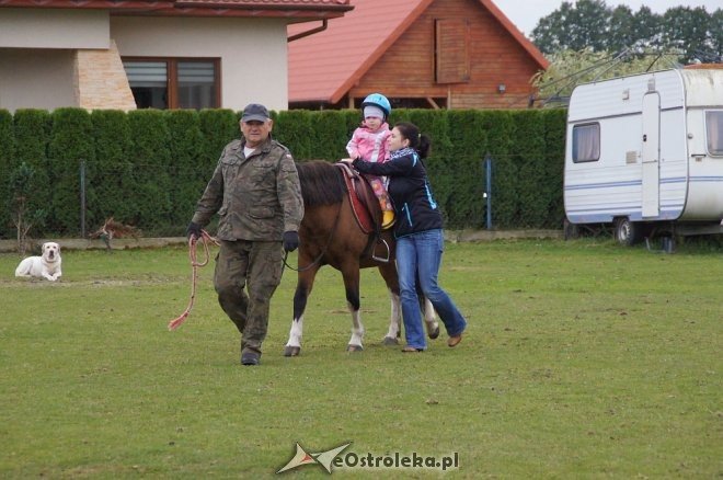 Przedszkolaki z Krainy Misiów w stadninie koni Mustang [ZDJĘCIA] - zdjęcie #65 - eOstroleka.pl