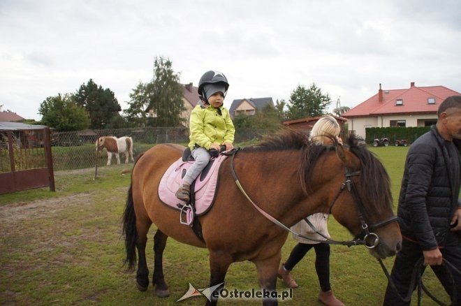Przedszkolaki z Krainy Misiów w stadninie koni Mustang [ZDJĘCIA] - zdjęcie #72 - eOstroleka.pl