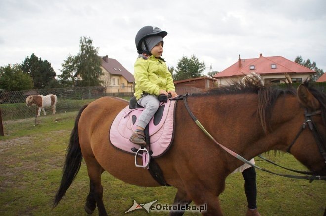 Przedszkolaki z Krainy Misiów w stadninie koni Mustang [ZDJĘCIA] - zdjęcie #73 - eOstroleka.pl