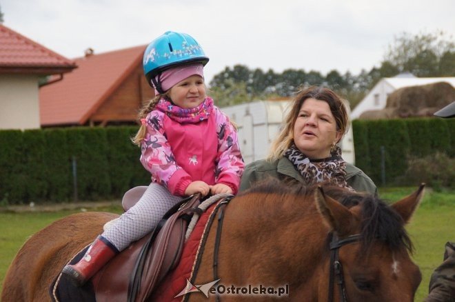 Przedszkolaki z Krainy Misiów w stadninie koni Mustang [ZDJĘCIA] - zdjęcie #87 - eOstroleka.pl