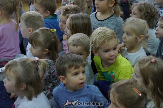Bezpieczny Przedszkolak w Przedszkolu Miejskim nr 17 [12.10.2017] - zdjęcie #69 - eOstroleka.pl