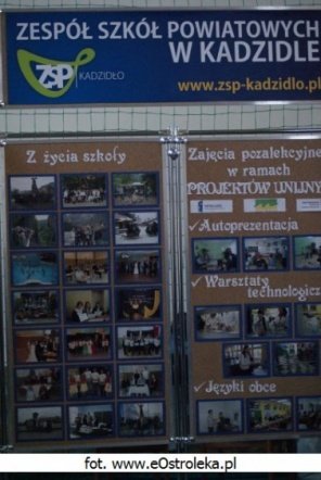 Promocje edukacyjne (25.03.2010) - zdjęcie #23 - eOstroleka.pl