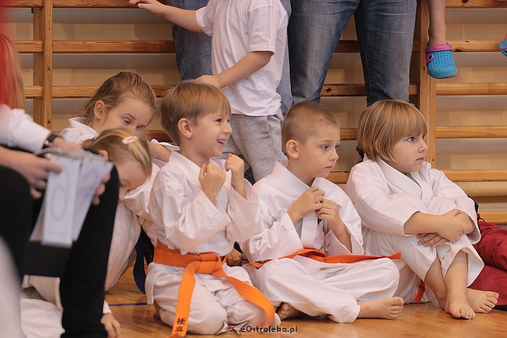 Mikołajkowy turniej karate [03.12.2017] - zdjęcie #17 - eOstroleka.pl