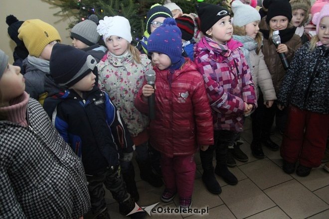 Przedszkolaki stroiły choinkę w „Handlowcu” [ZDJĘCIA] - zdjęcie #13 - eOstroleka.pl