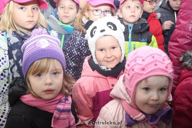 Przedszkolaki stroiły choinkę w „Handlowcu” [ZDJĘCIA] - zdjęcie #28 - eOstroleka.pl