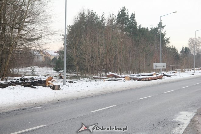 Rozpoczęła się wycinka drzew wzdłuż ulicy Ostrowskiej [15.12.2017] - zdjęcie #15 - eOstroleka.pl