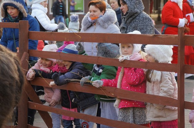 Przedszkolaki stroiły choinki przed Miejską Wigilią [ZDJĘCIA] - zdjęcie #3 - eOstroleka.pl