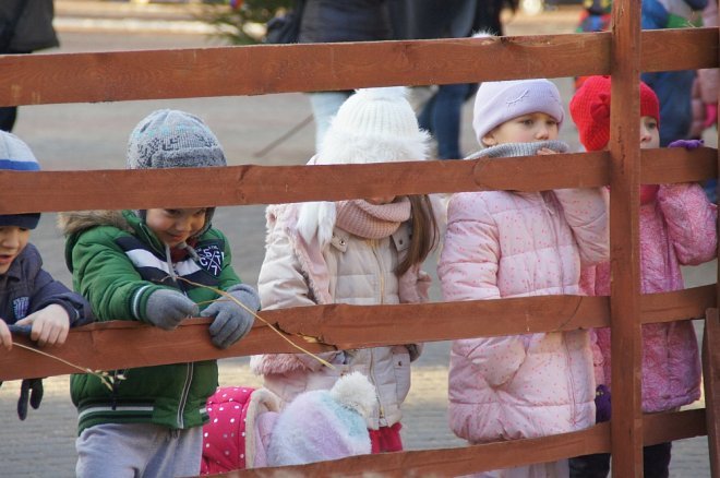 Przedszkolaki stroiły choinki przed Miejską Wigilią [ZDJĘCIA] - zdjęcie #9 - eOstroleka.pl