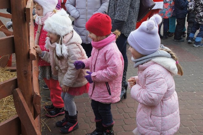 Przedszkolaki stroiły choinki przed Miejską Wigilią [ZDJĘCIA] - zdjęcie #23 - eOstroleka.pl
