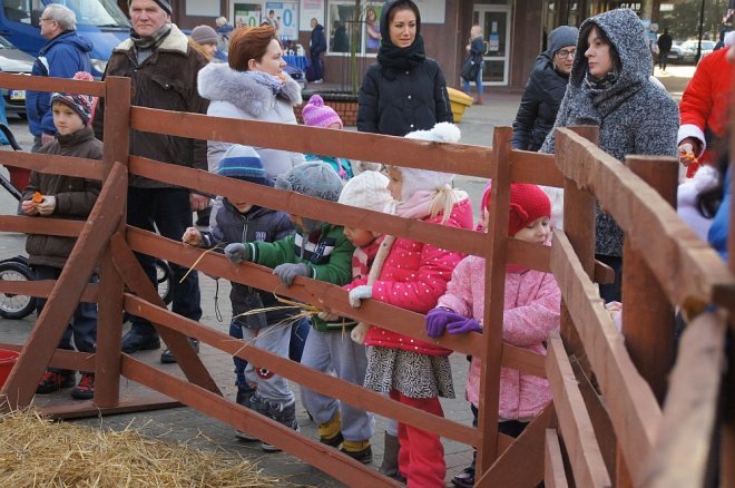 Przedszkolaki stroiły choinki przed Miejską Wigilią [ZDJĘCIA] - zdjęcie #27 - eOstroleka.pl