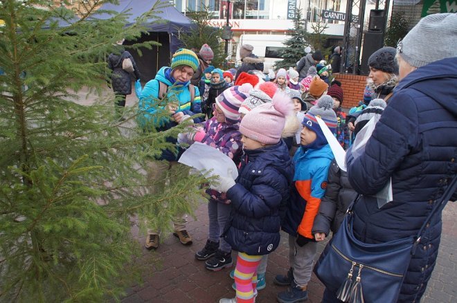 Przedszkolaki stroiły choinki przed Miejską Wigilią [ZDJĘCIA] - zdjęcie #33 - eOstroleka.pl
